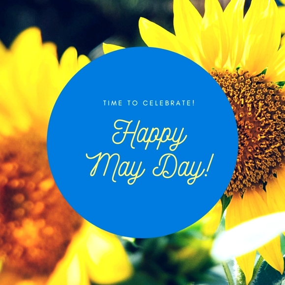 SALE - Picture 9 of 10